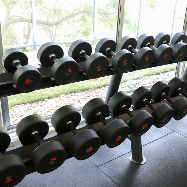 A rack of SMAI's Commercial Dumbbell Set with weights ranging from 5 to 30 kg is neatly organized by size and placed against a large window. Beyond the window, there are trees and a garden area visible. The floor features rubber matting, characteristic of gym equipment areas.